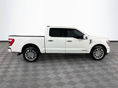 2023 Ford F-150 Limited