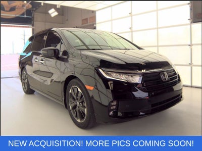 2023 Honda Odyssey Elite