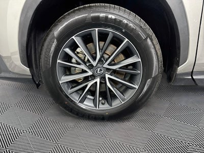 2023 Lexus NX 250 Base