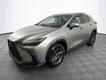 2023 Lexus NX 250 Base
