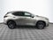 2023 Lexus NX 250 Base