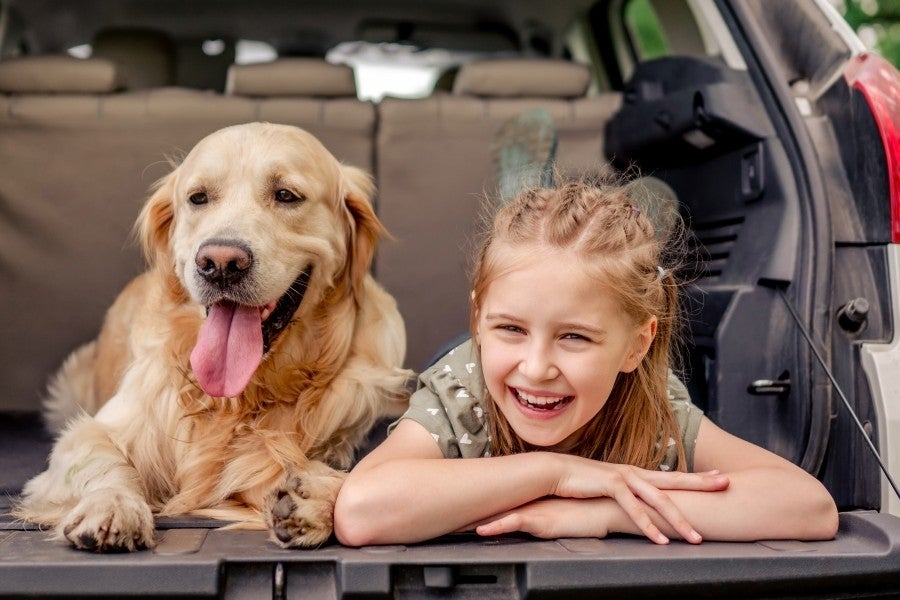 Happy golden retriever and a smiling girl with braids lying in the back of a car.